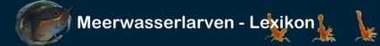 Larvenlex
